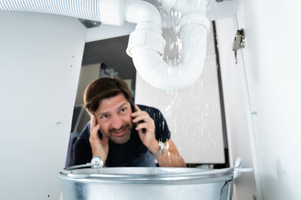 Best Leak Detection Services  in Moorhead, MN